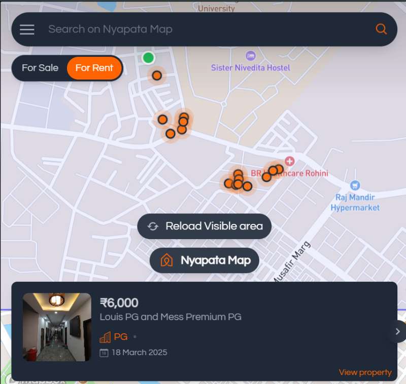 Nyapata Map - Interactive Property Mapping Project